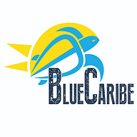 Blue Caribe Tours UK